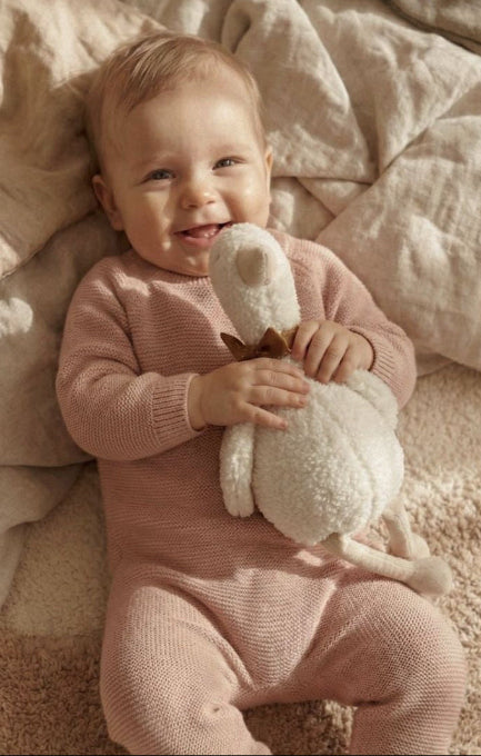 Lenny Uyku Arkadaşı