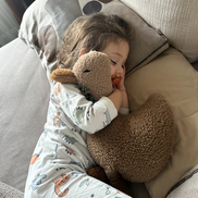 Luna Uyku Arkadaşı