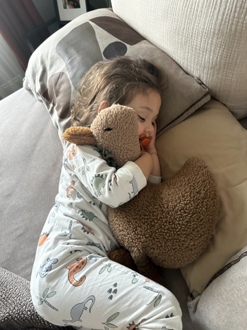 Luna Uyku Arkadaşı