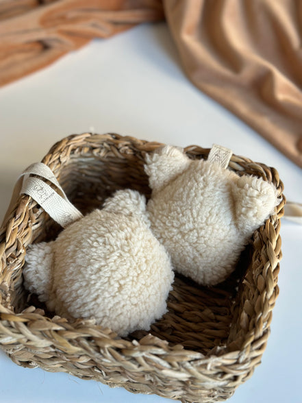 Teddy Bear Emzik Askısı Klipsli