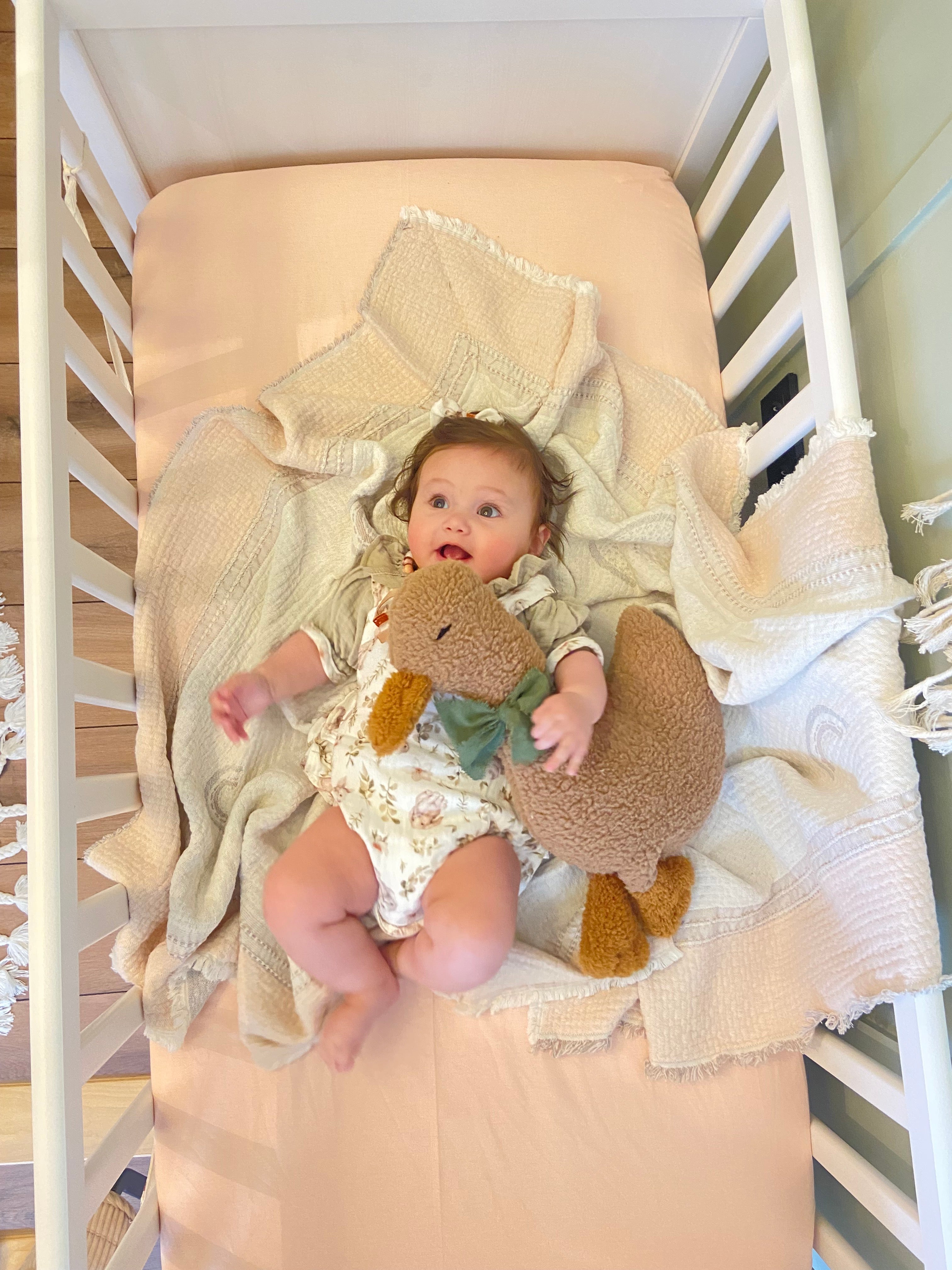 Luna Uyku Arkadaşı