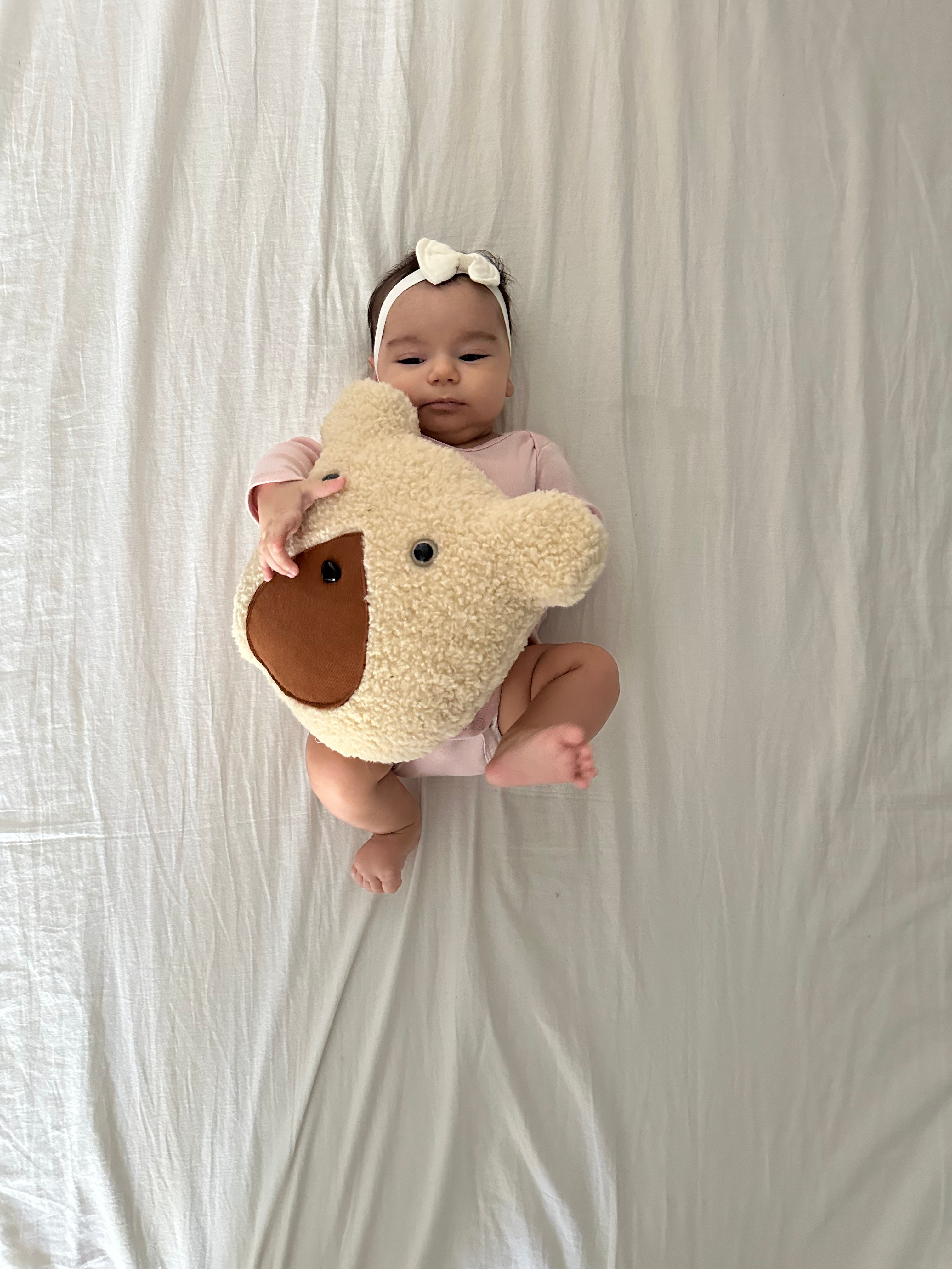 Vani Teddy Bear Yastık Uyku Arkadaşı