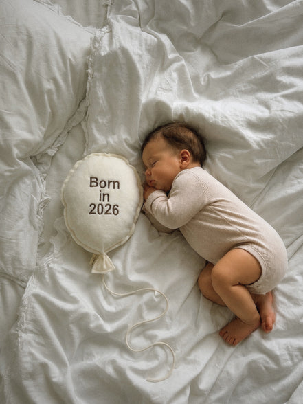 Baloon Duvar Süsü  Born in 26