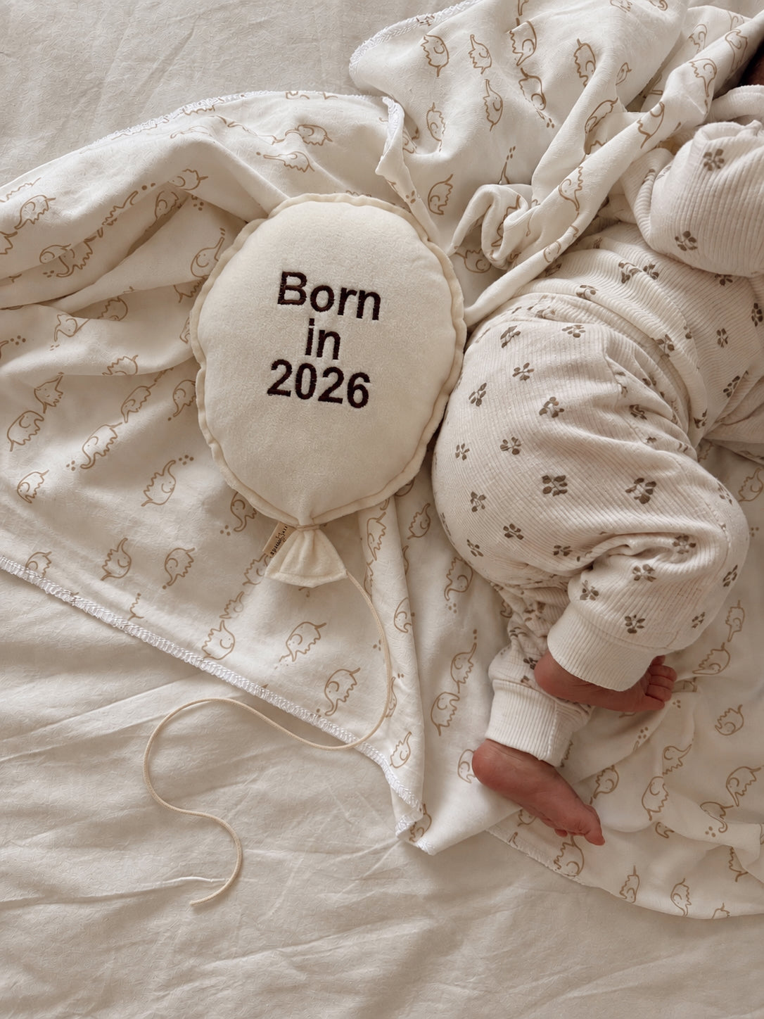 Baloon Duvar Süsü  Born in 26