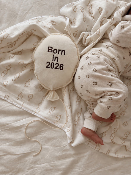 Baloon Duvar Süsü  Born in 26