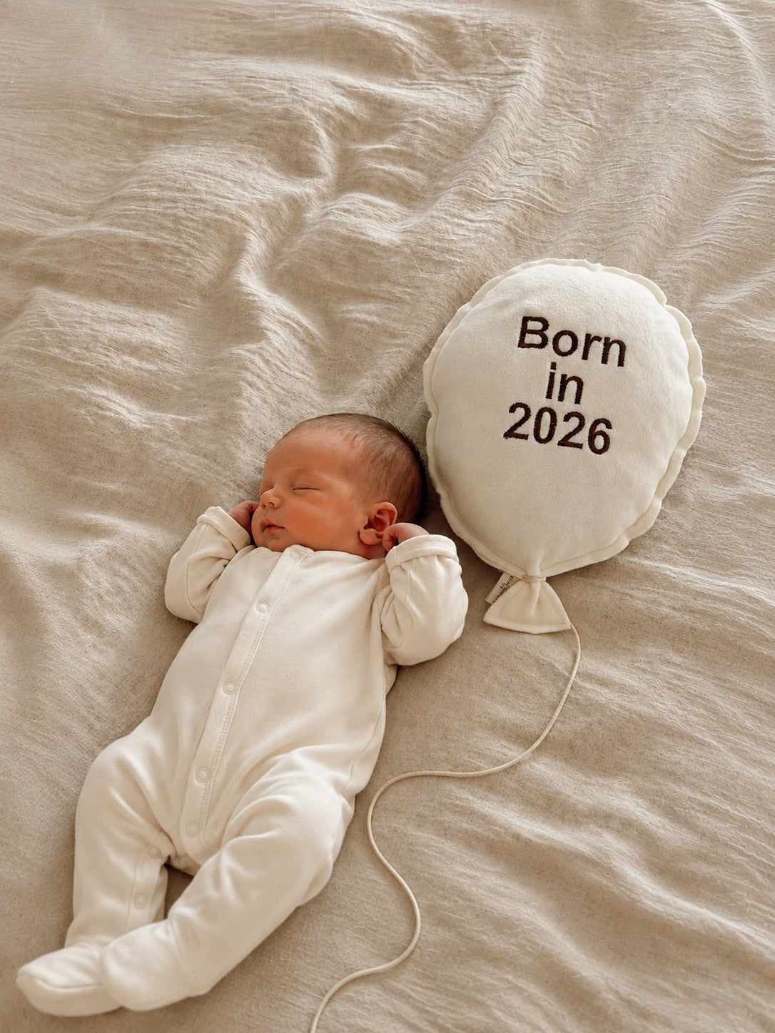 Baloon Duvar Süsü  Born in 26