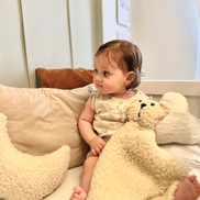 Teddy Bear Tonny Uyku Arkadaşı