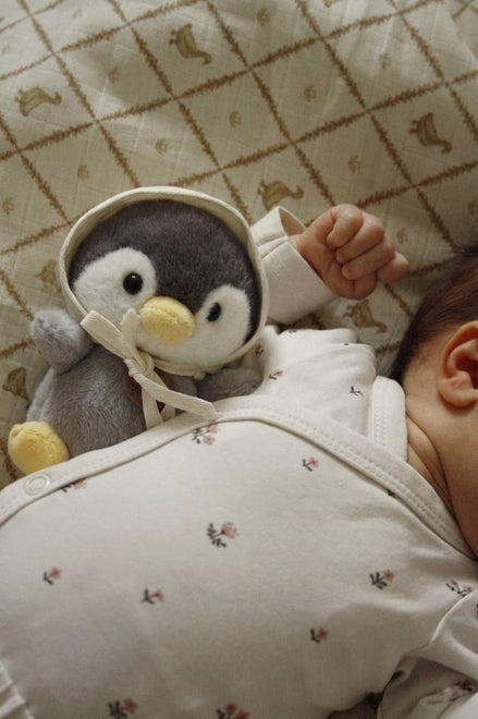 Pingu Uyku Arkadaşı