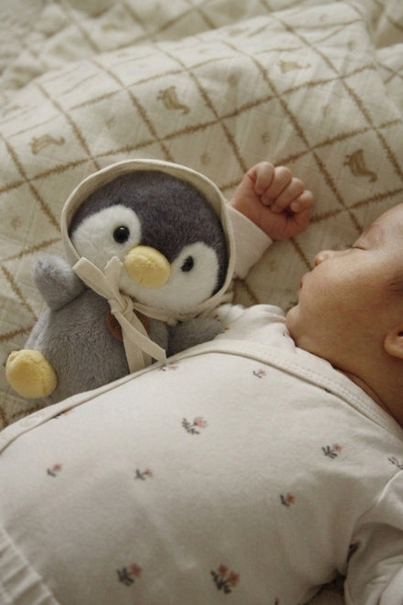 Pingu Uyku Arkadaşı
